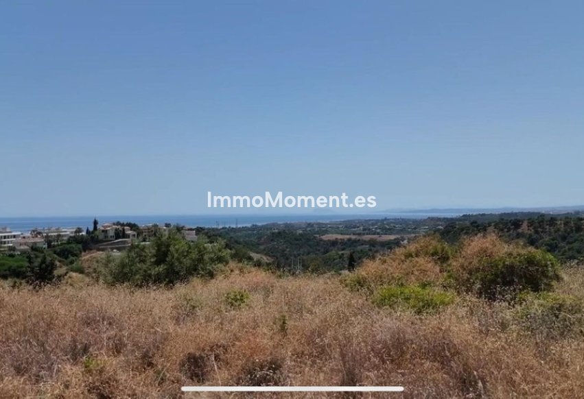 Revente - Parcelle - Estepona  - Estepona Centro