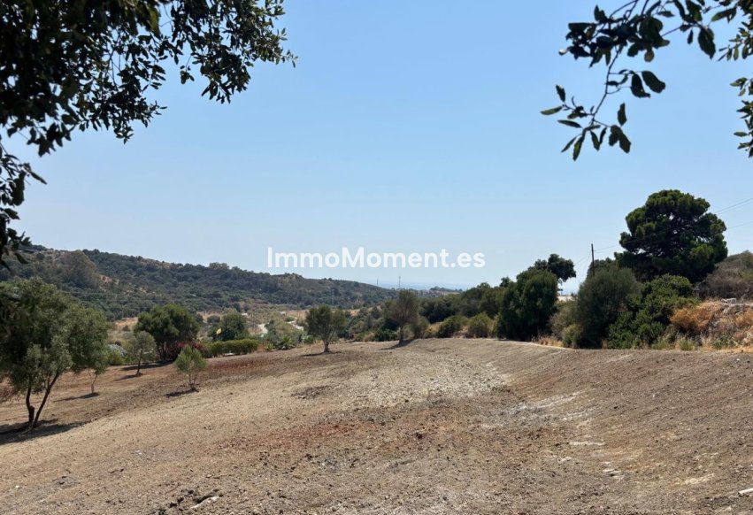 Revente - Parcelle - Estepona  - Estepona Centro