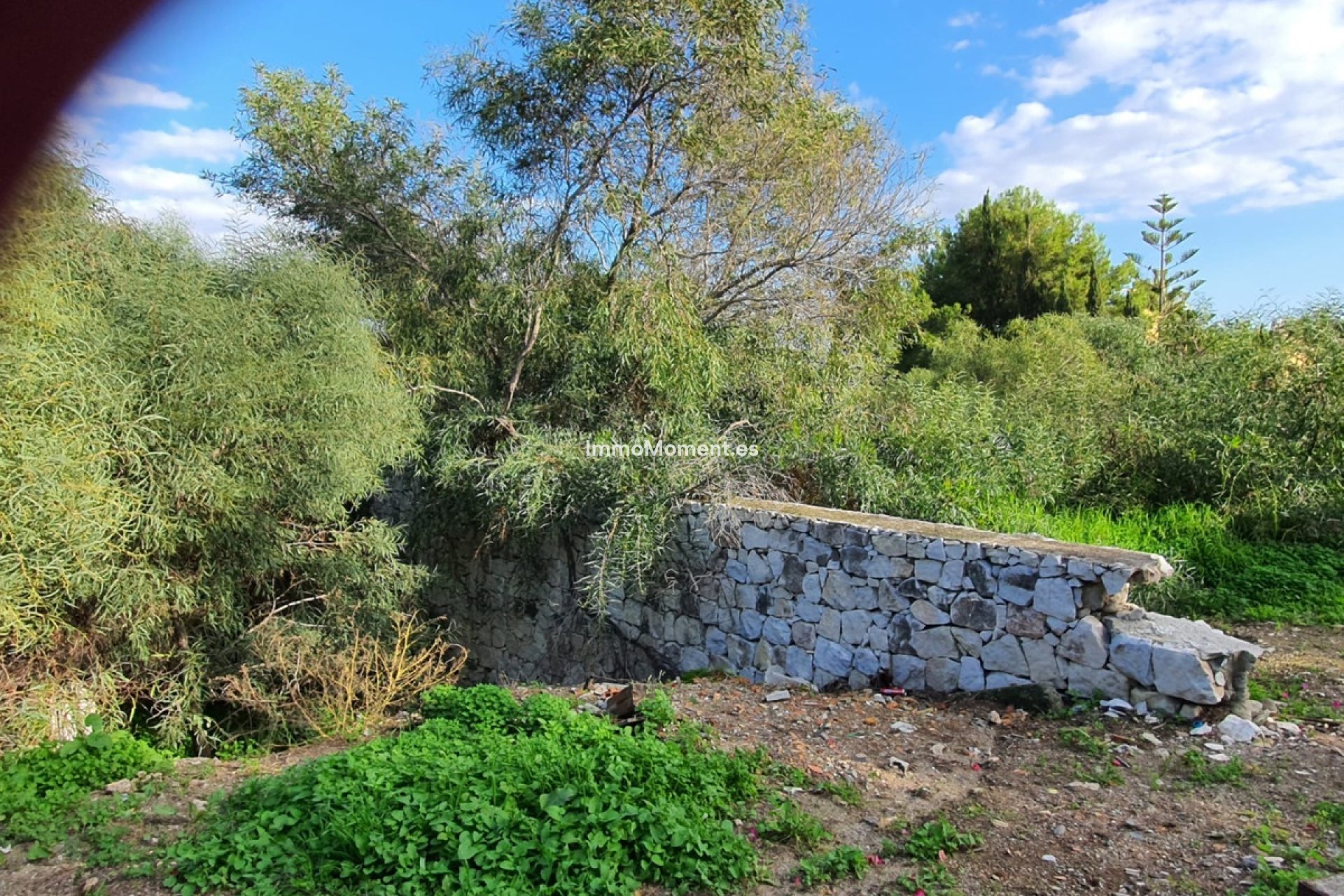 Revente - Parcelle - Estepona  - Estepona Centro
