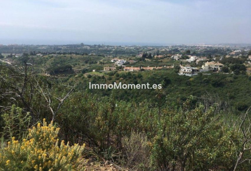 Revente - Parcelle - Estepona  - Estepona Centro