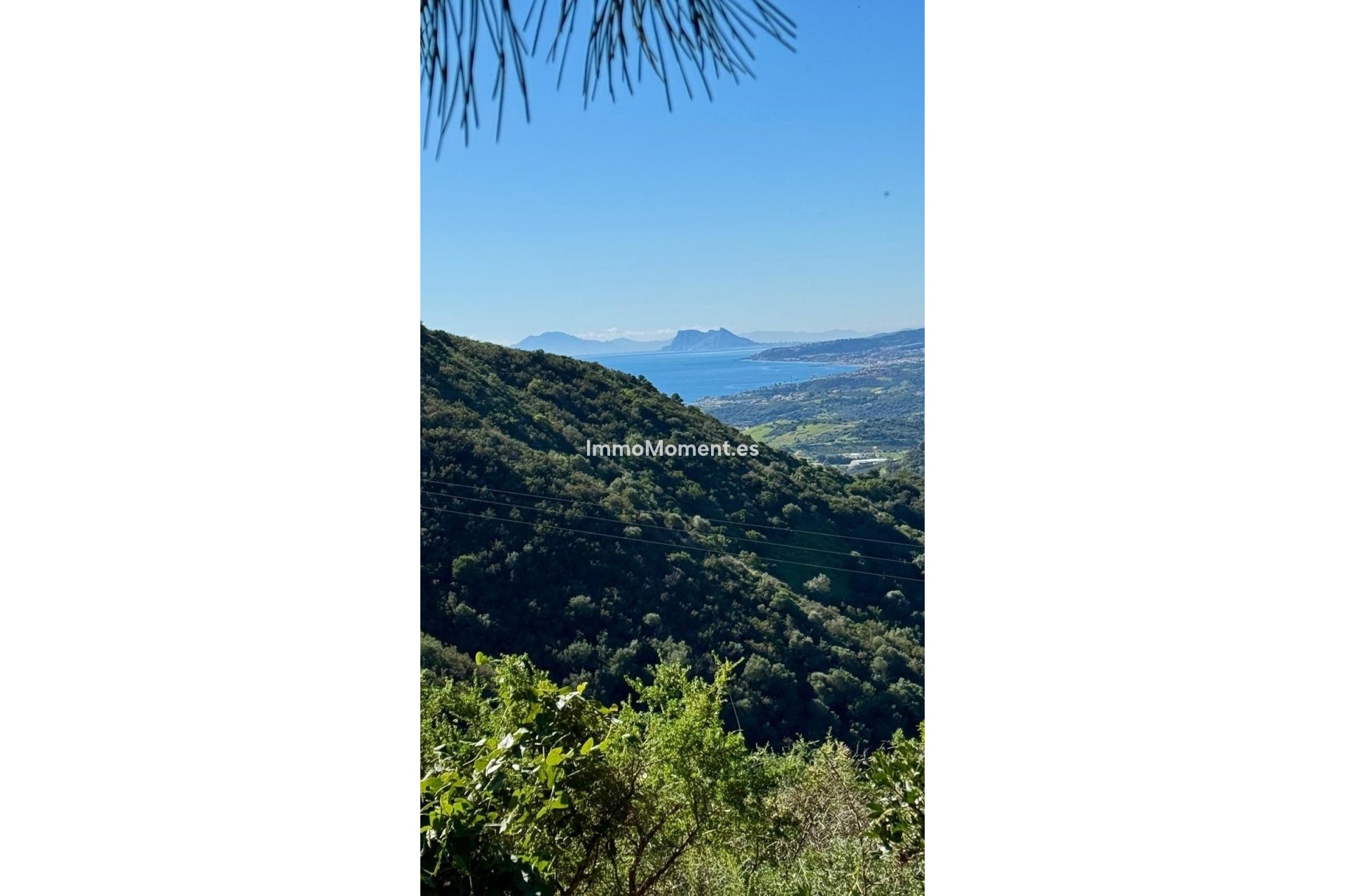 Revente - Parcelle - Estepona  - Estepona Centro