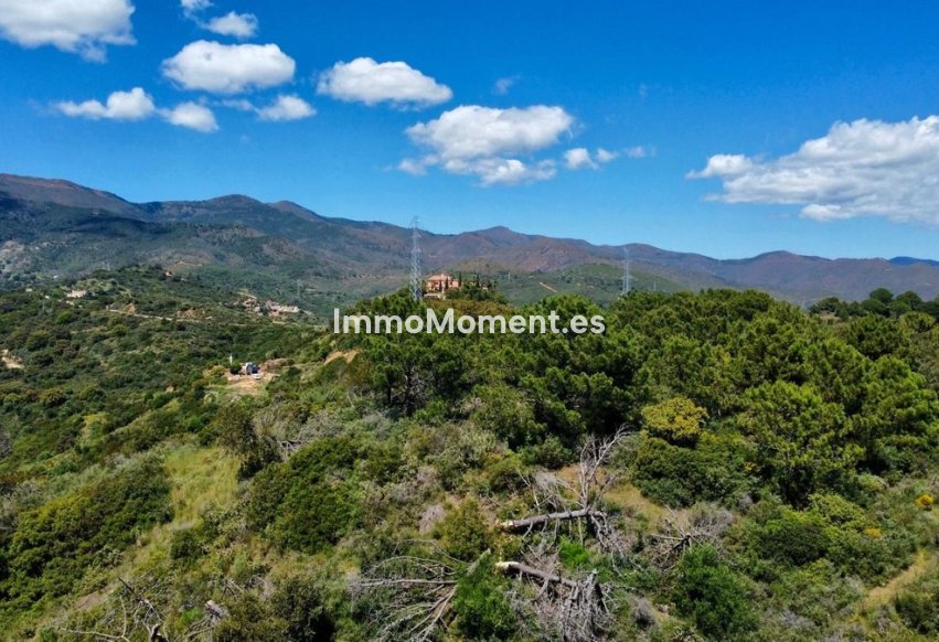 Revente - Parcelle - Estepona  - Estepona Centro
