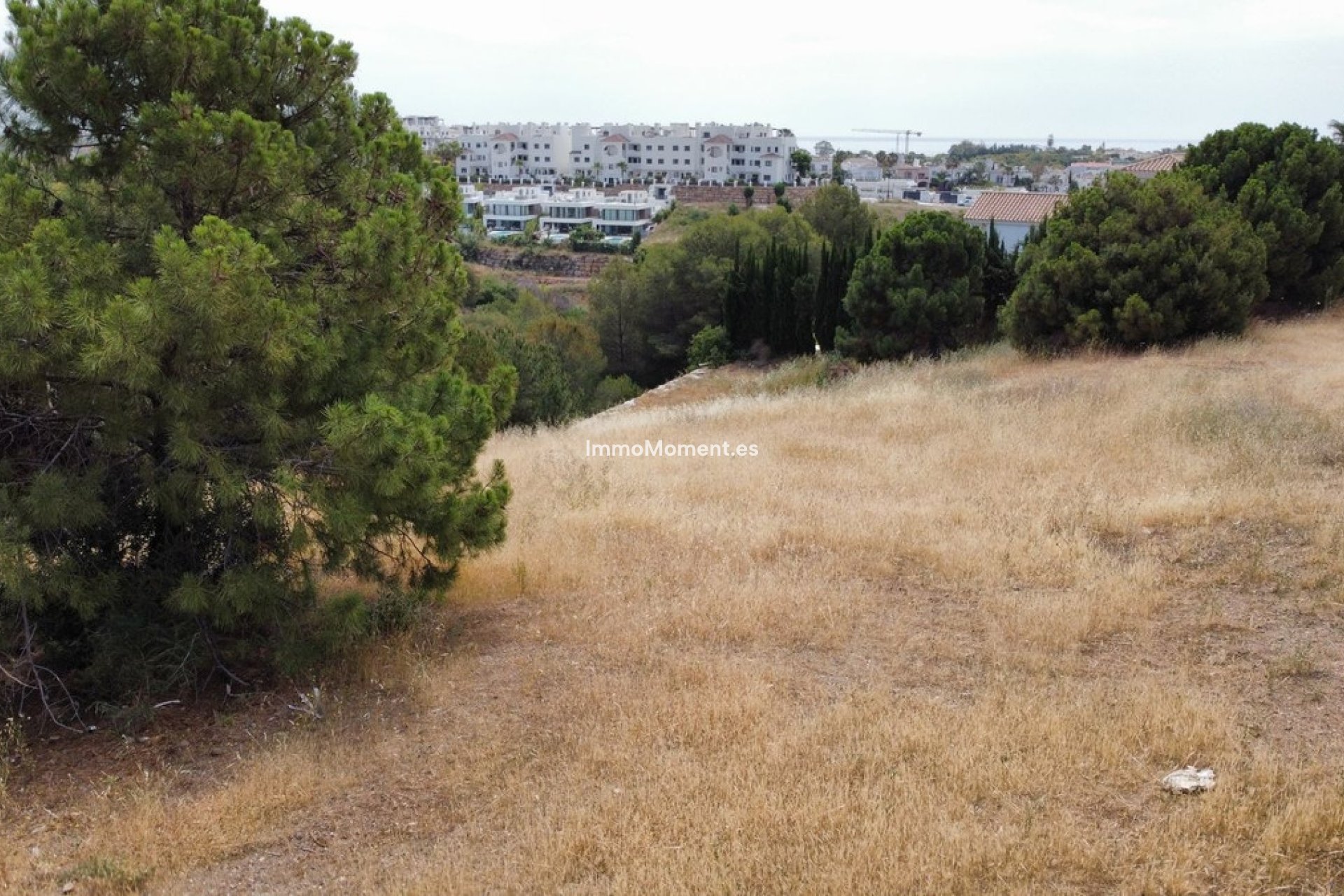 Revente - Parcelle - Estepona  - Selwo