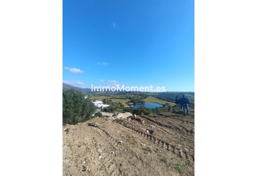 Revente - Parcelle - Estepona  - Valle Romano