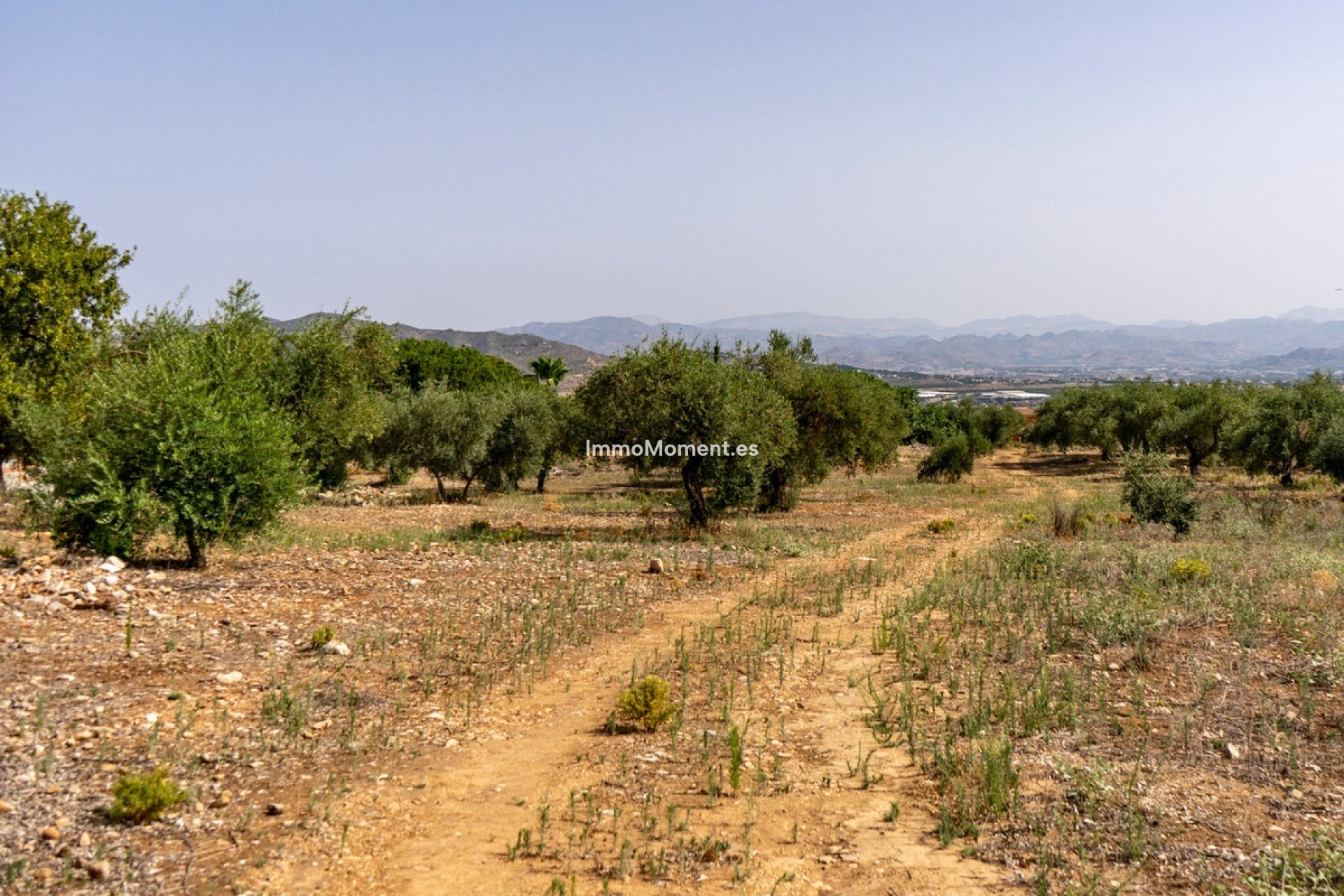 Revente - Parcelle - Intérieur                       - Alhaurín de la Torre