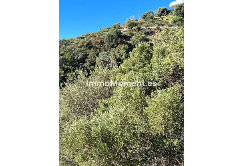 Revente - Parcelle - Marbella - Altos de los Monteros