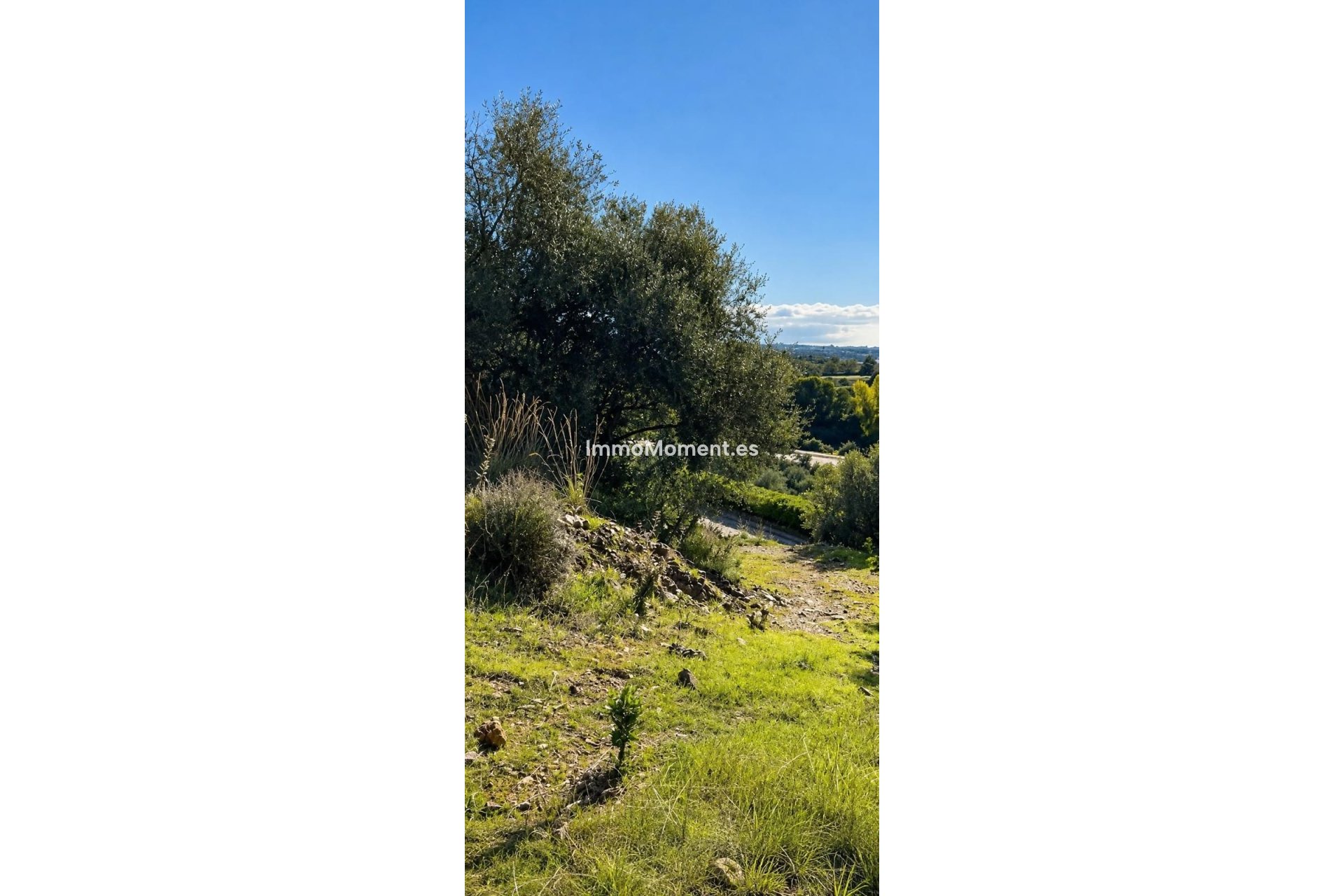Revente - Parcelle - Marbella - Altos de los Monteros