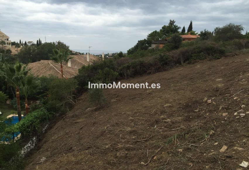 Revente - Parcelle - Marbella - Elviria