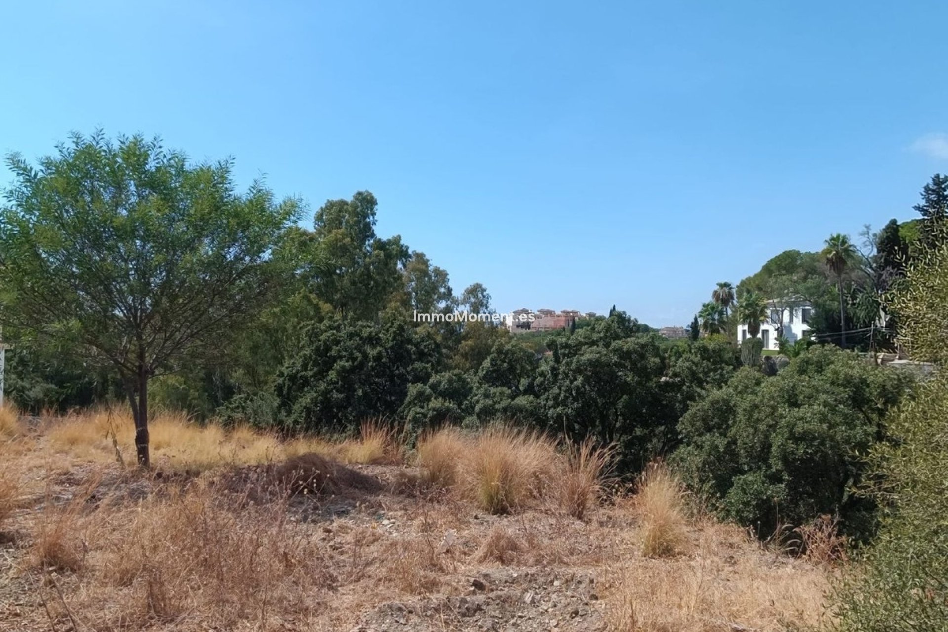 Revente - Parcelle - Marbella - Elviria