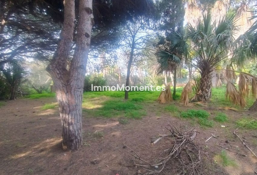 Revente - Parcelle - Marbella - Hacienda Las Chapas