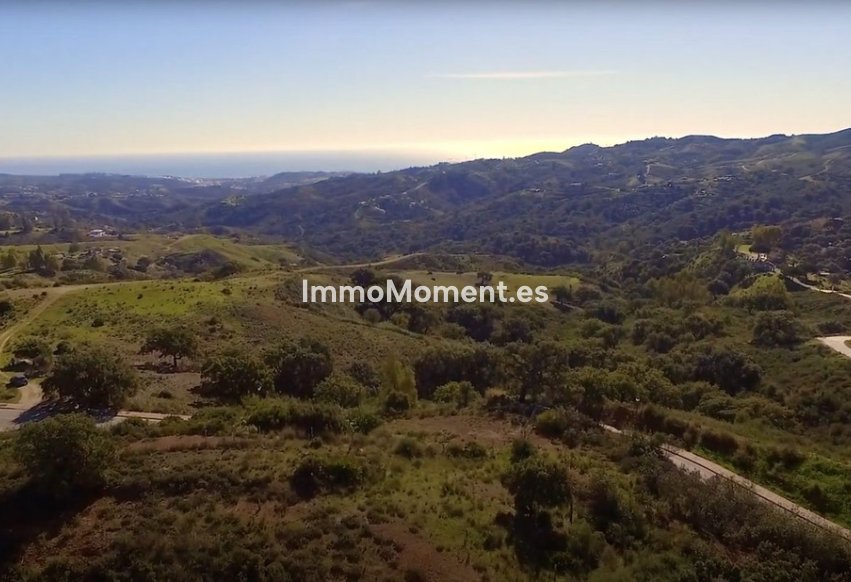 Revente - Parcelle - Marbella - La Mairena