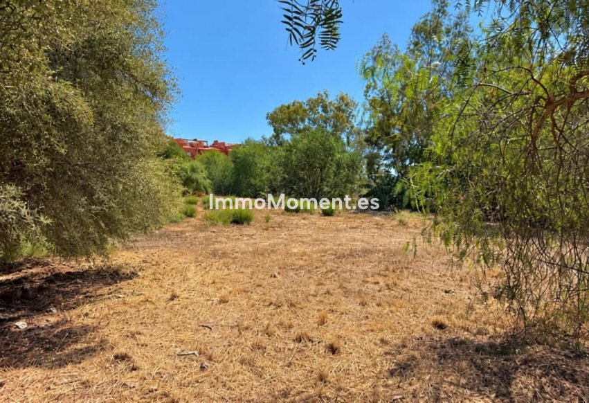 Revente - Parcelle - Marbella - Las Chapas