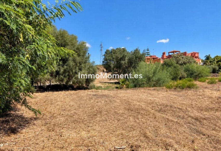 Revente - Parcelle - Marbella - Las Chapas