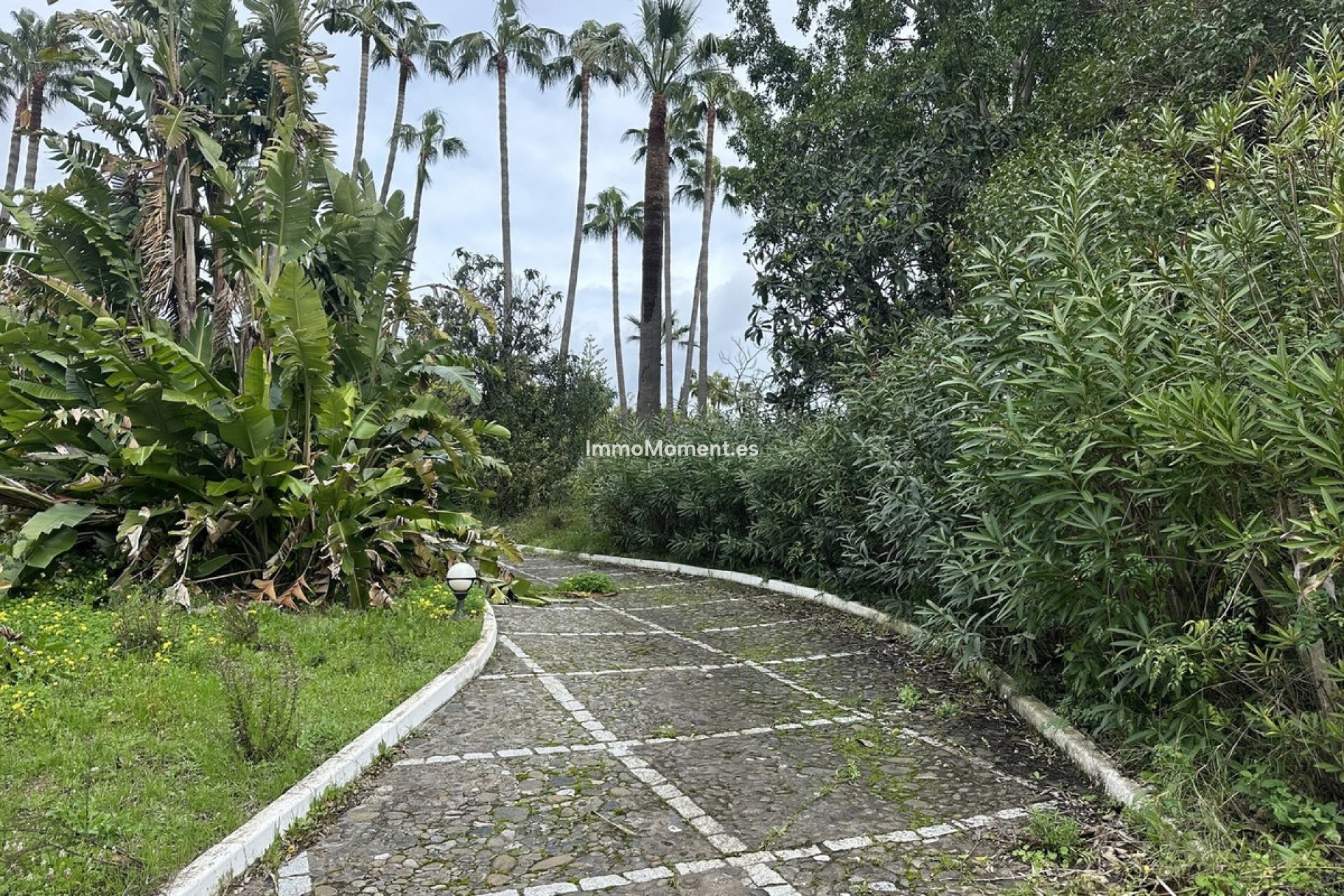 Revente - Parcelle - Marbella - Nagüeles