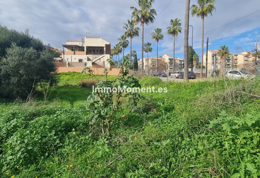 Revente - Parcelle - Mijas - Campo Mijas
