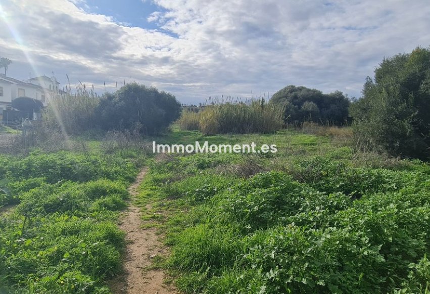 Revente - Parcelle - Mijas - Campo Mijas