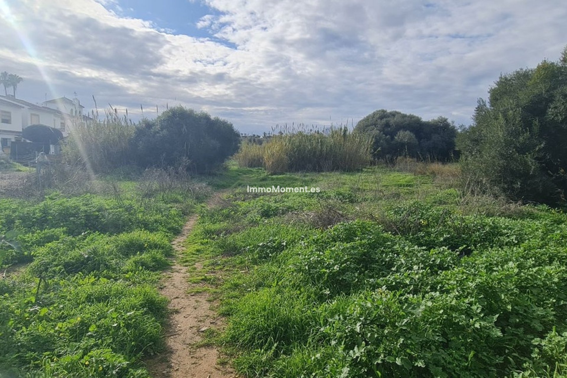 Revente - Parcelle - Mijas - Campo Mijas