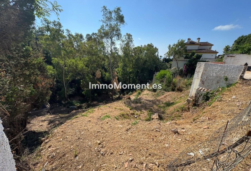 Revente - Parcelle - Mijas - Campo Mijas