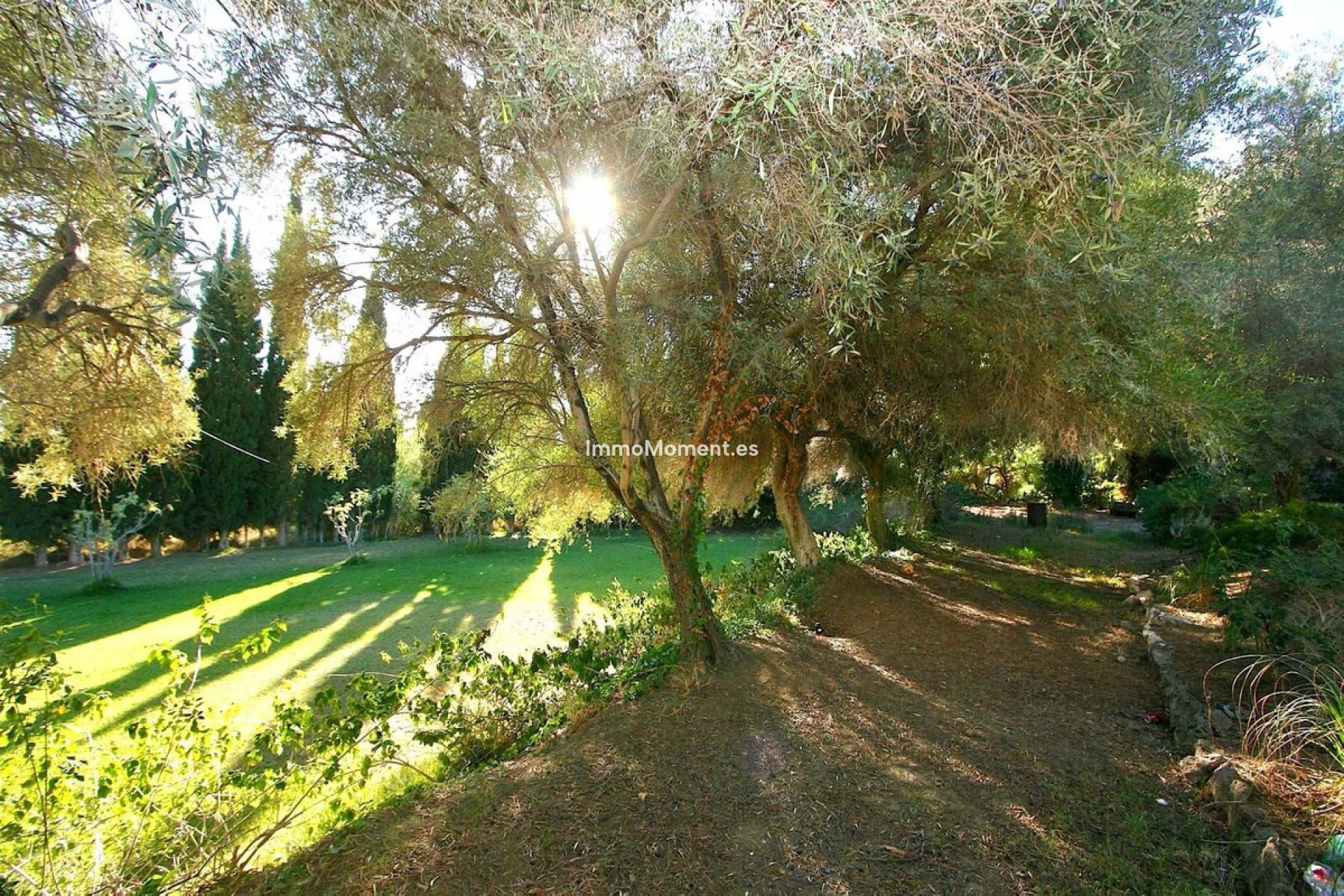 Revente - Parcelle - Mijas - Mijas Centro