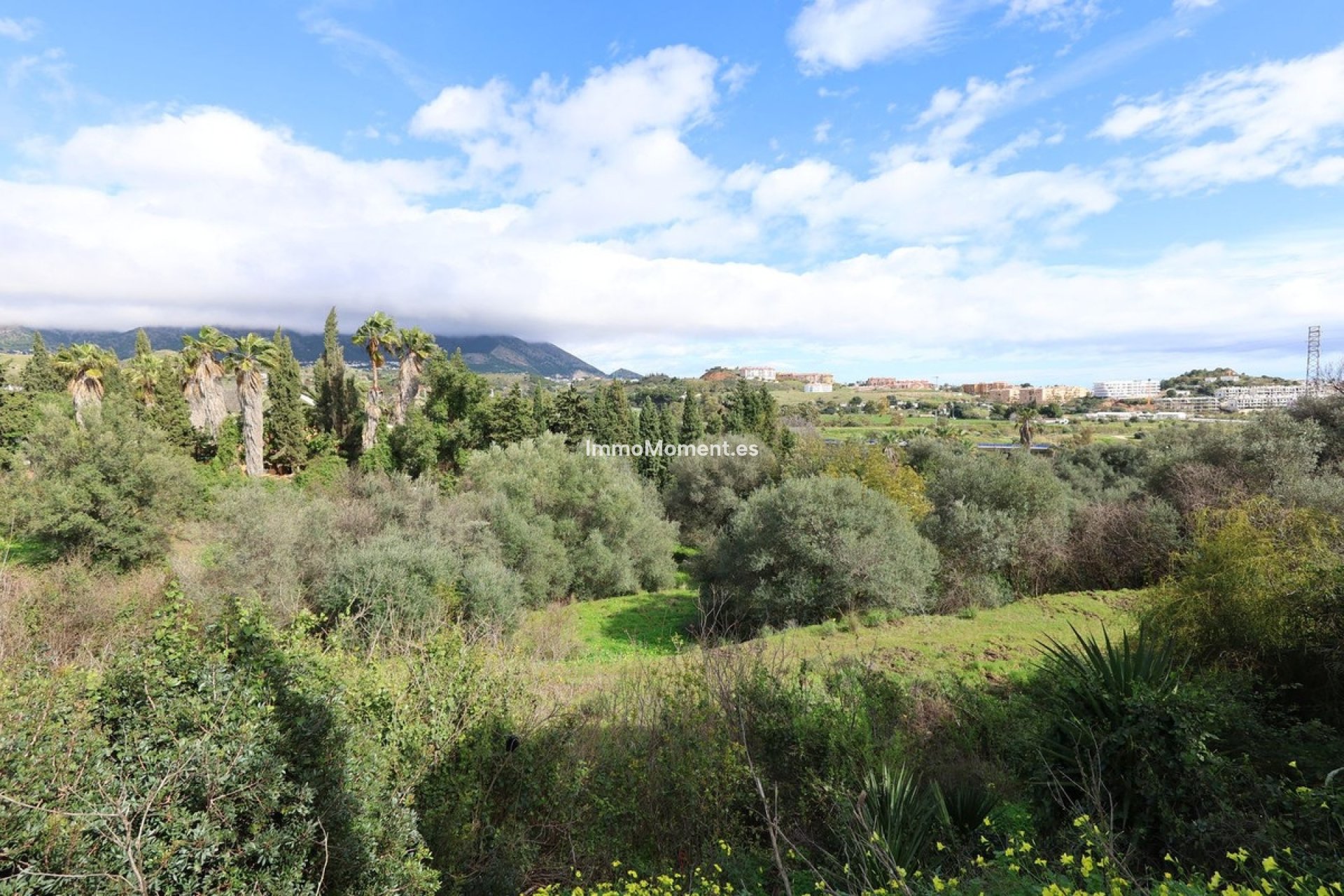 Revente - Parcelle - Mijas - Mijas Centro