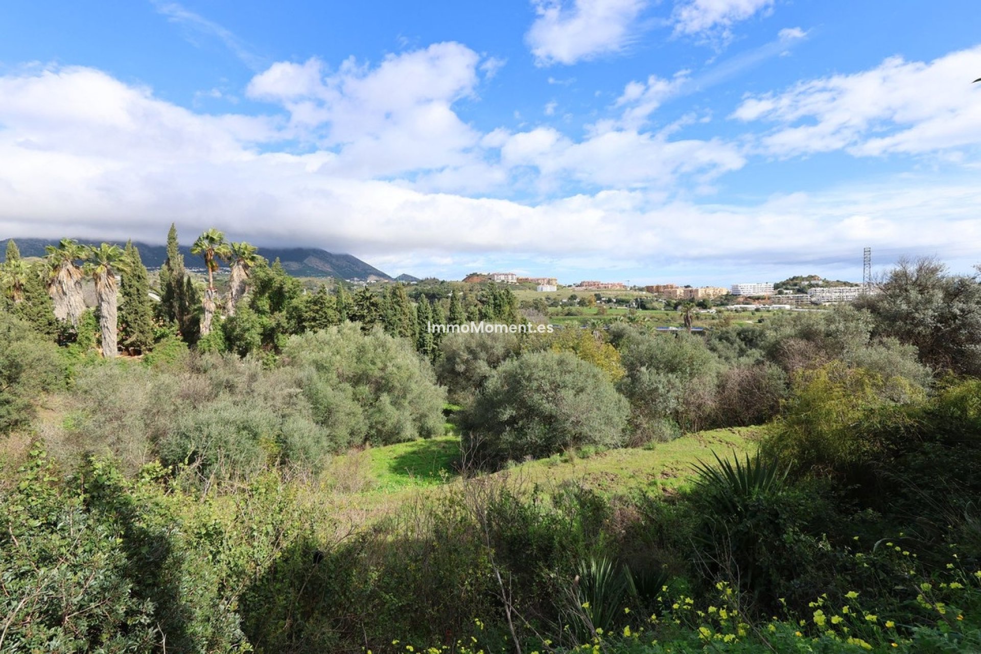 Revente - Parcelle - Mijas - Mijas Centro