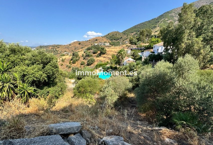 Revente - Parcelle - Mijas - Valtocado