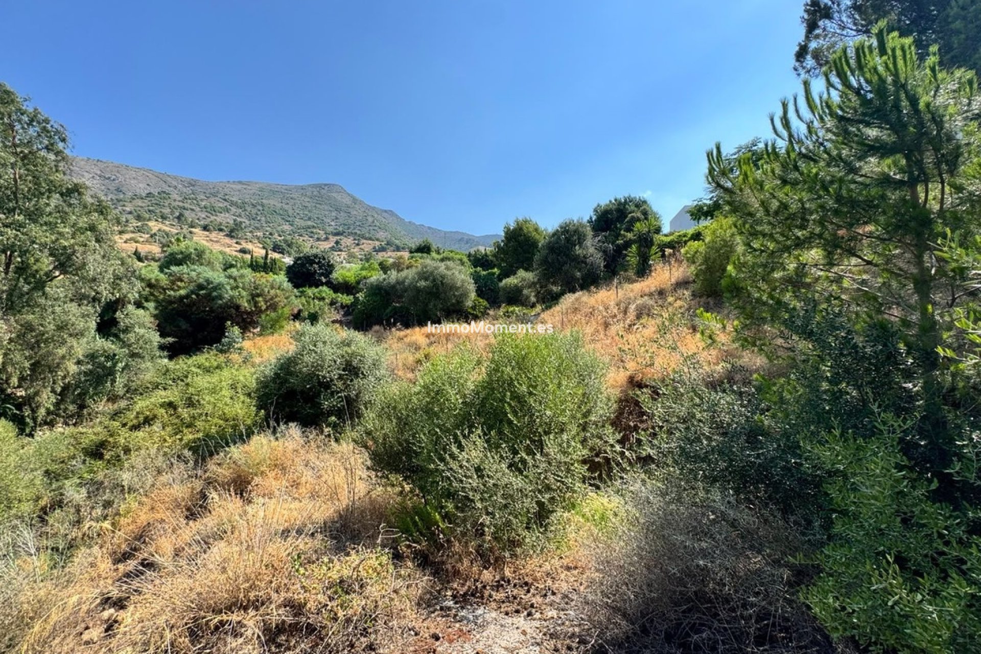 Revente - Parcelle - Mijas - Valtocado