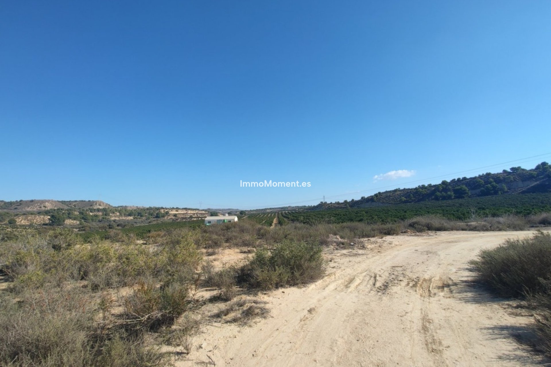 Revente - Parcelle - Orihuela - Torremendo