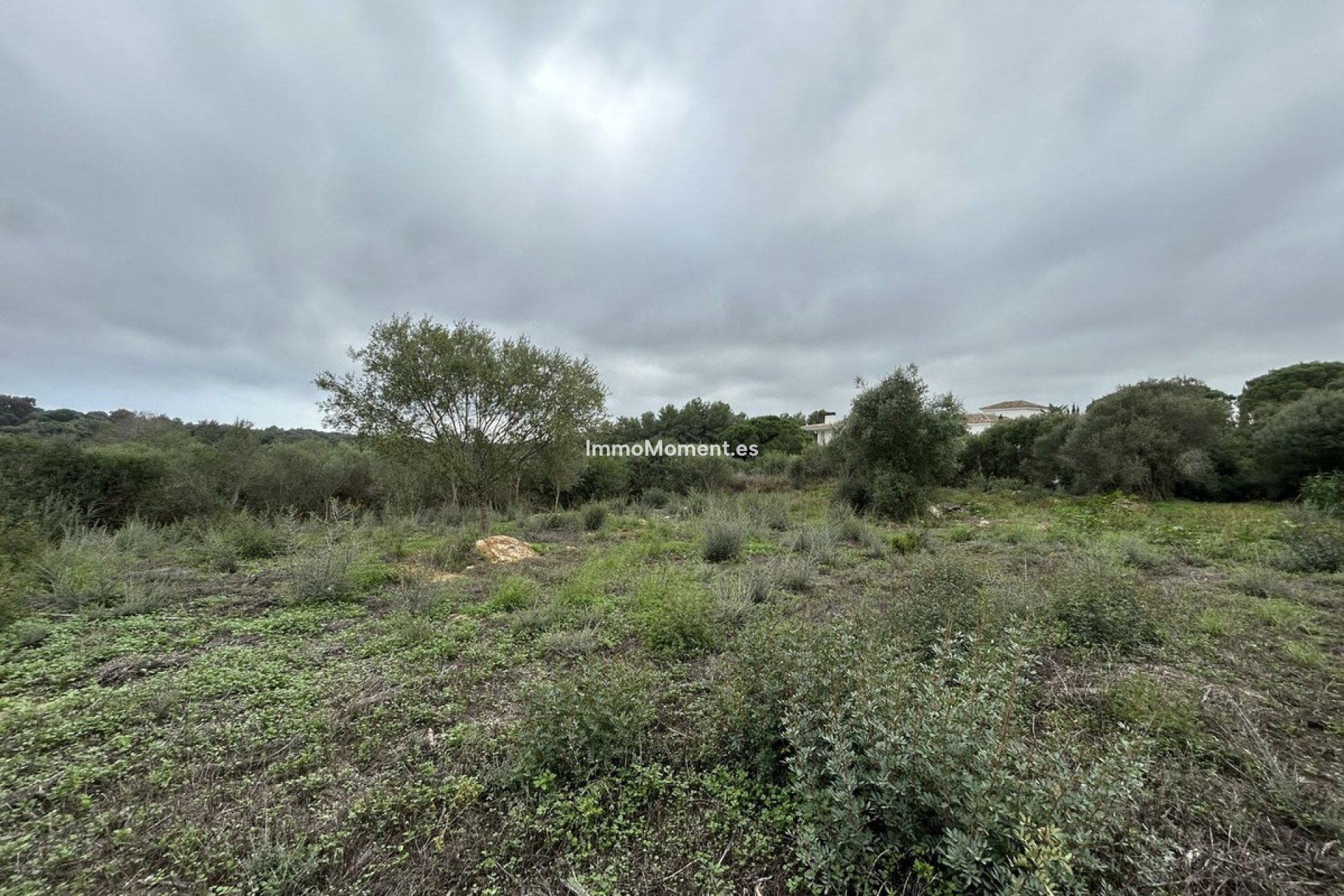 Revente - Parcelle - Sotogrande - Sotogrande Alto
