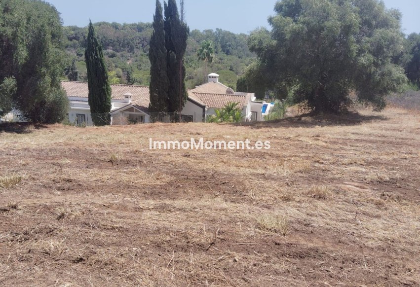 Revente - Parcelle - Sotogrande - Sotogrande Alto