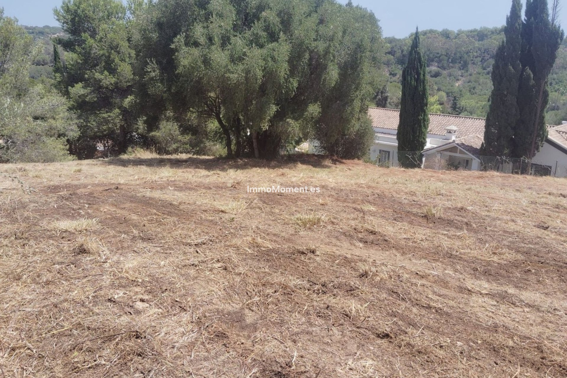 Revente - Parcelle - Sotogrande - Sotogrande Alto