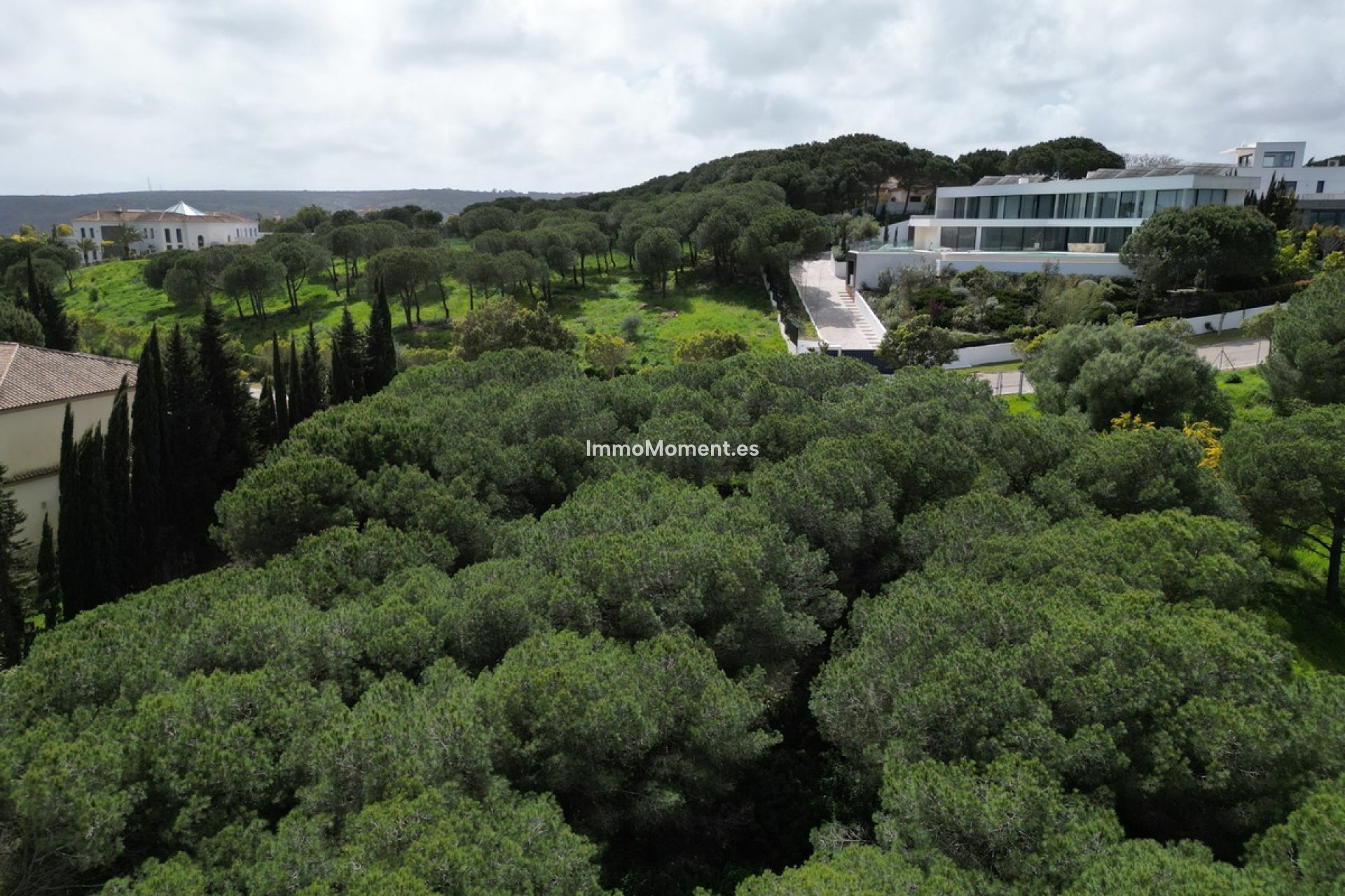 Revente - Parcelle - Sotogrande