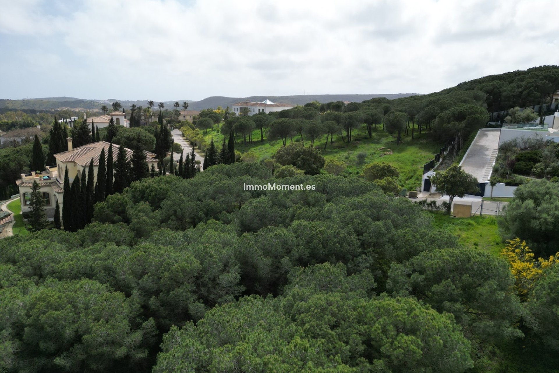 Revente - Parcelle - Sotogrande