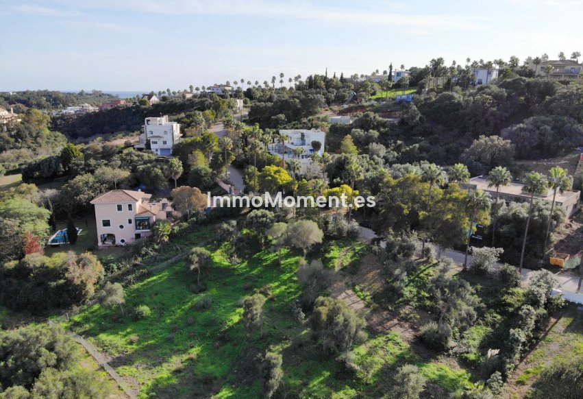 Revente - Parcelle - Sotogrande