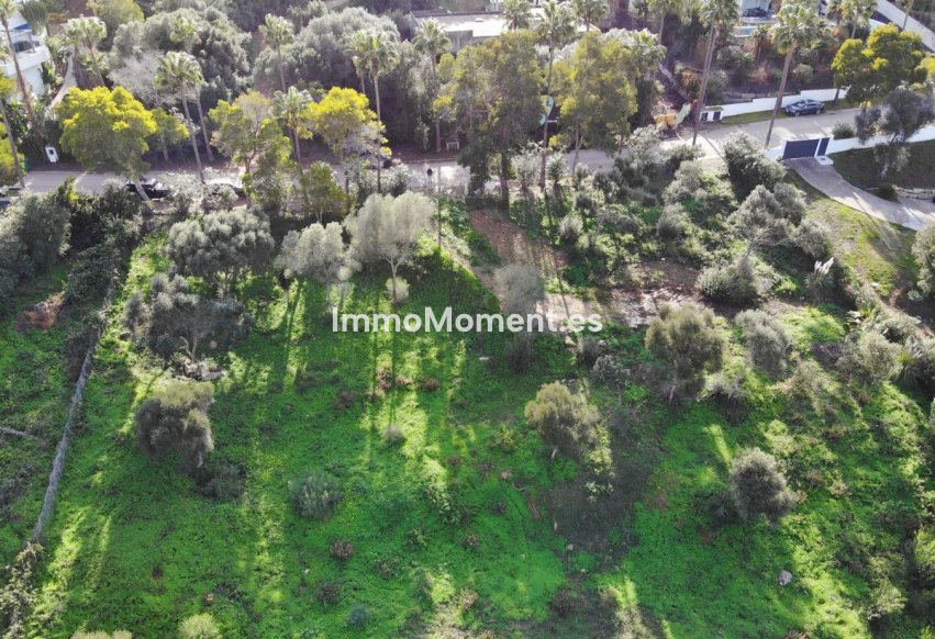 Revente - Parcelle - Sotogrande