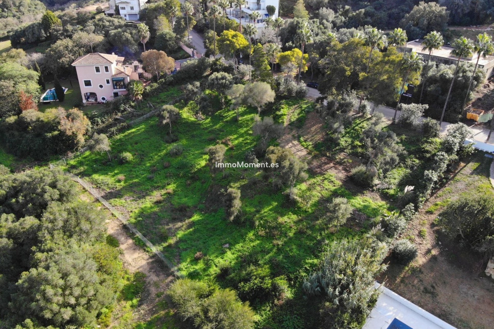 Revente - Parcelle - Sotogrande