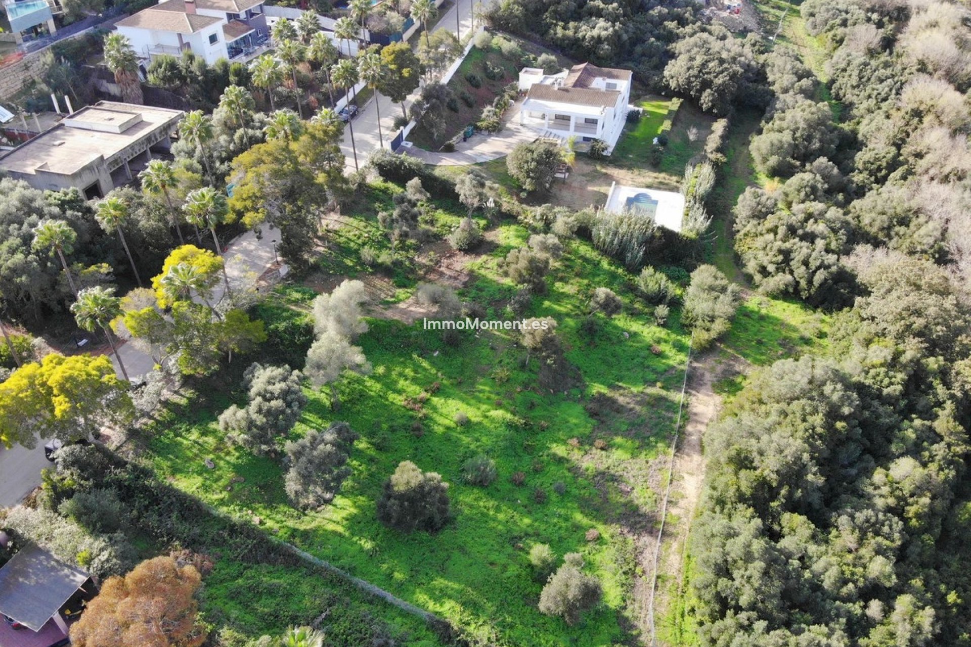 Revente - Parcelle - Sotogrande