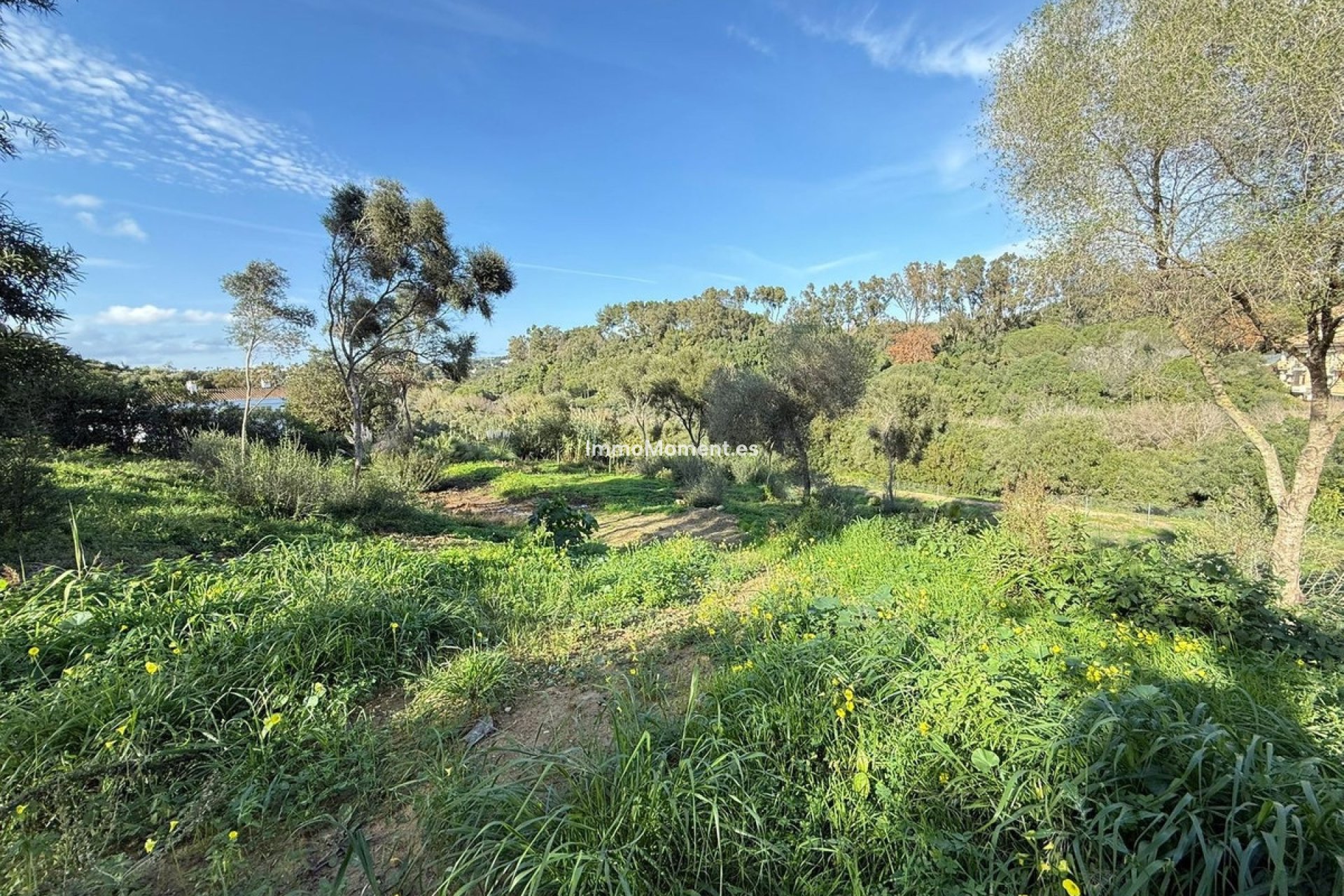 Revente - Parcelle - Sotogrande