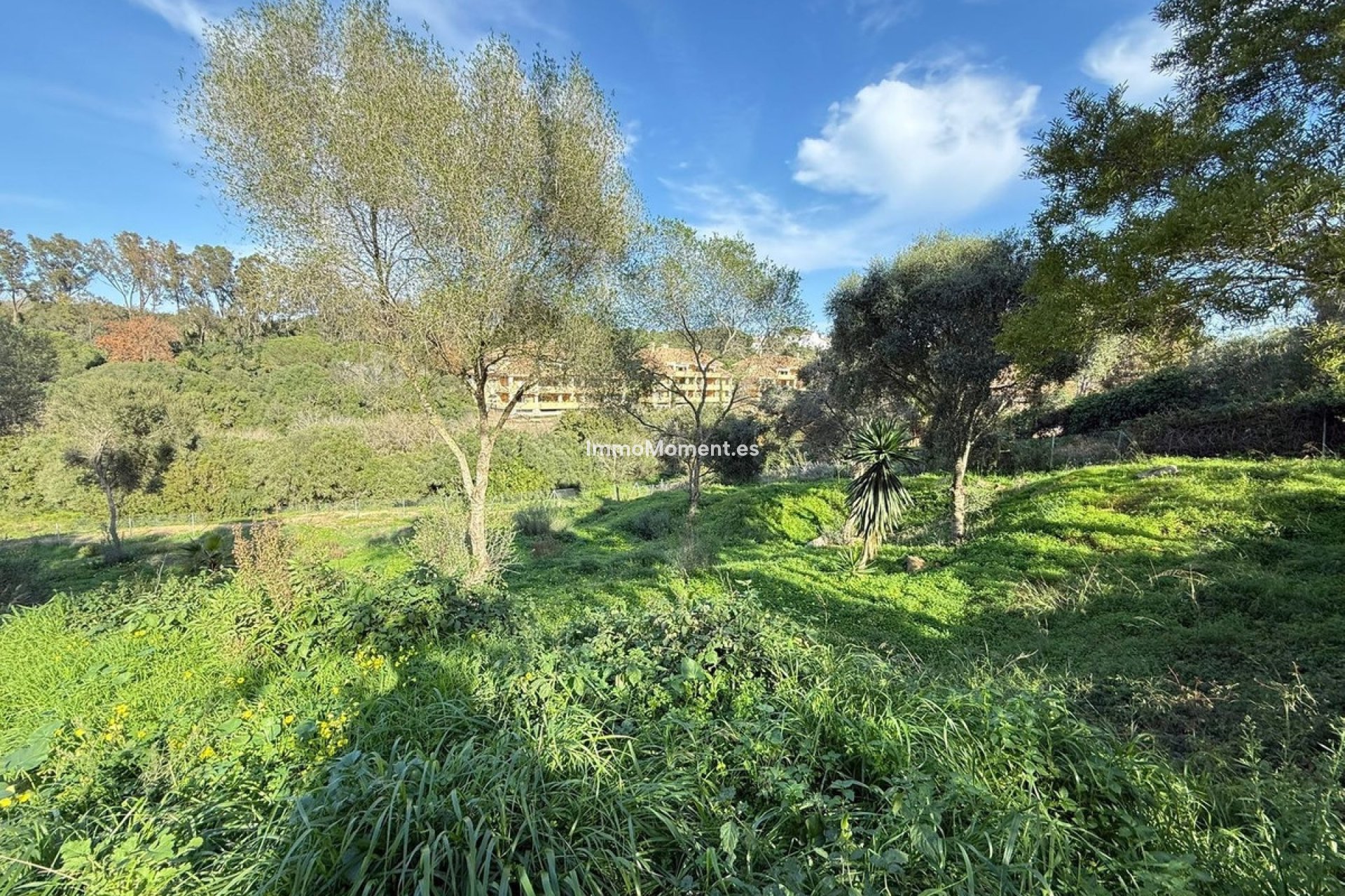 Revente - Parcelle - Sotogrande