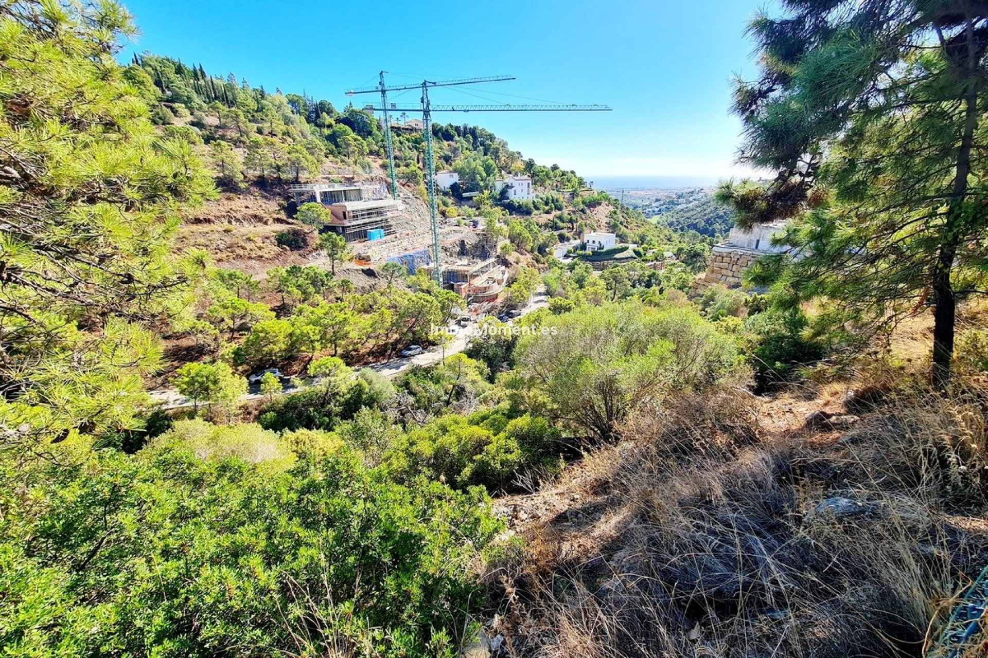 Revente - Terrain - Benahavís - El Madroñal
