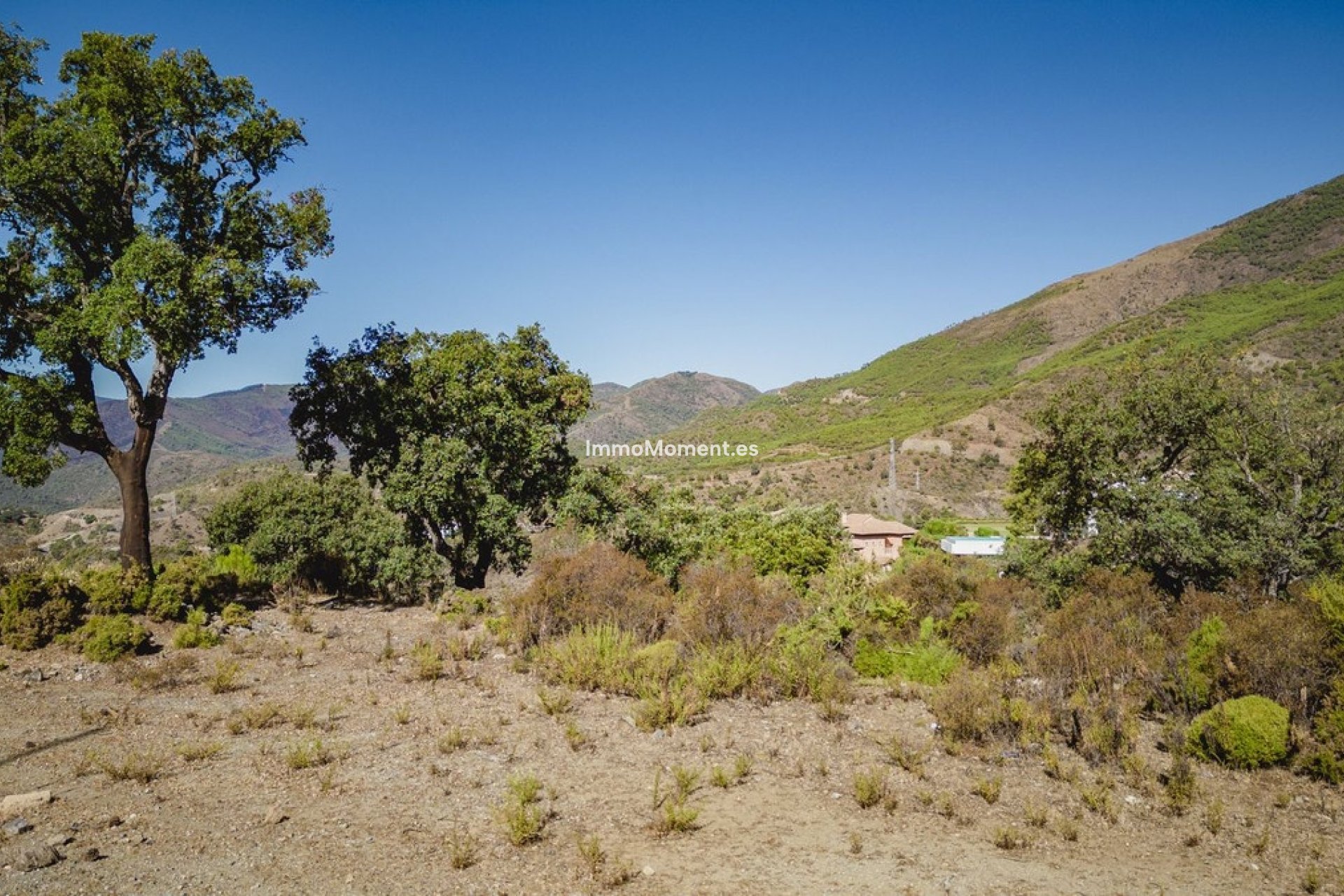 Revente - Terrain - Benahavís - La Zagaleta