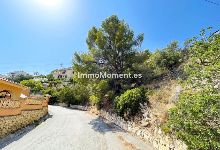 Revente - Terrain - Calpe - Calpe Centro