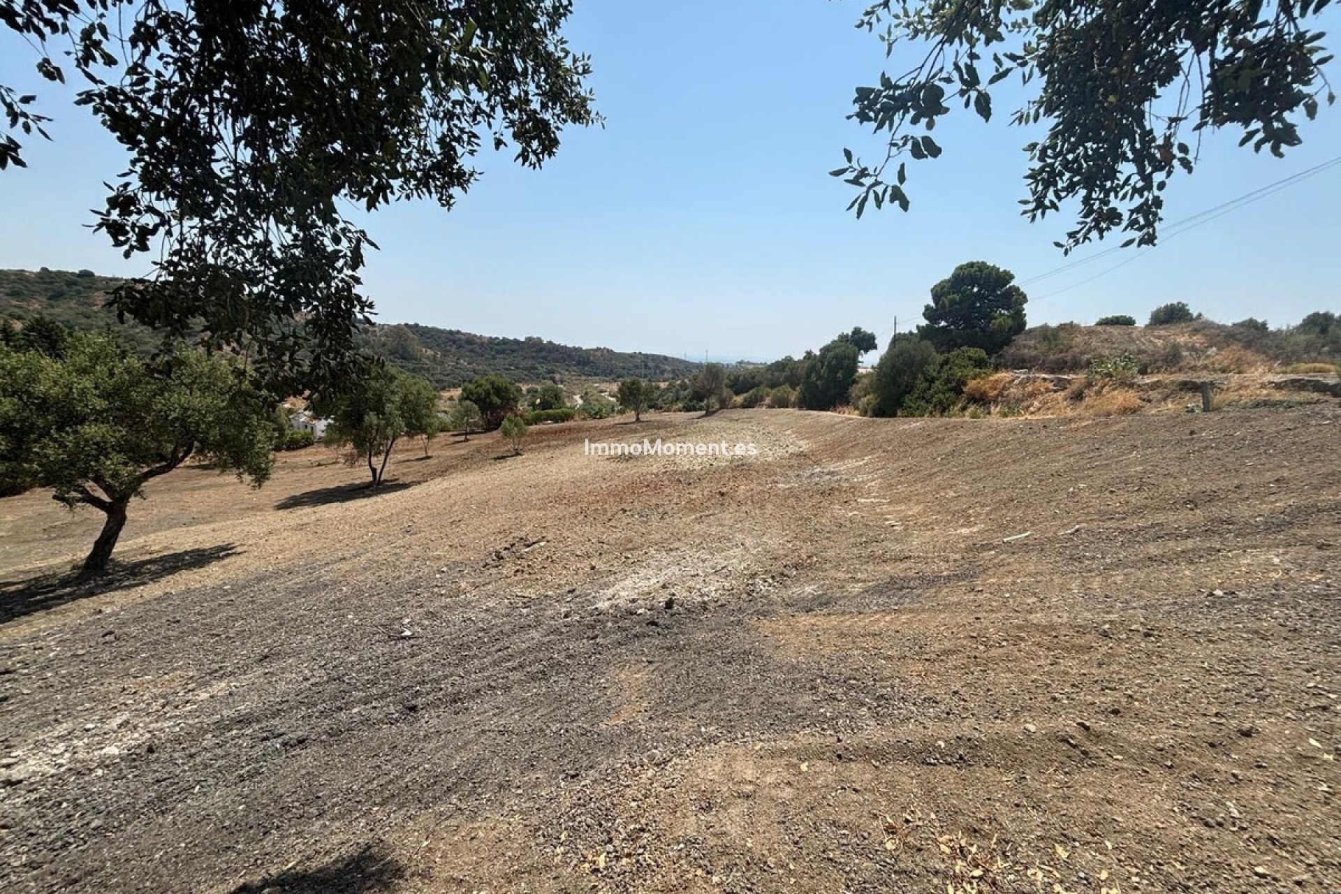 Revente - Terrain - Estepona  - Estepona Centro