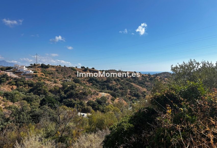 Revente - Terrain - Estepona  - Estepona Centro