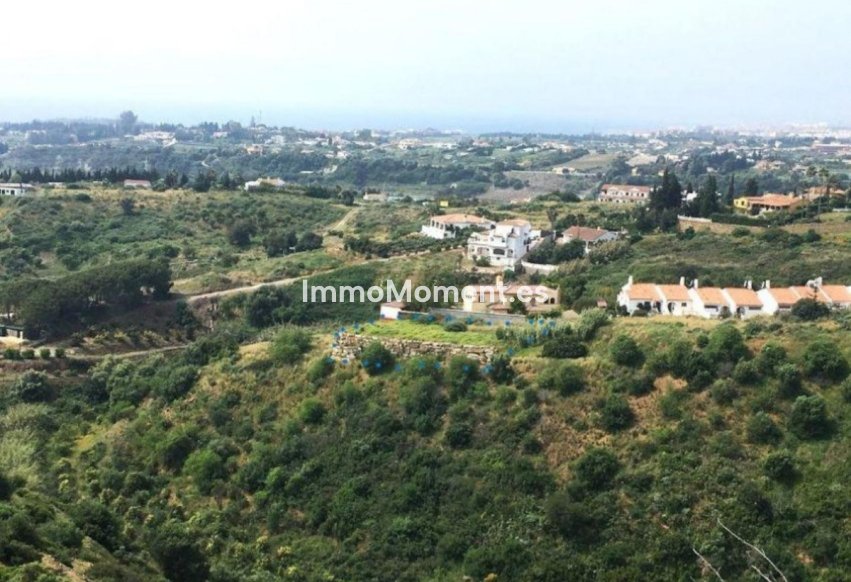 Revente - Terrain - Estepona  - Estepona Centro