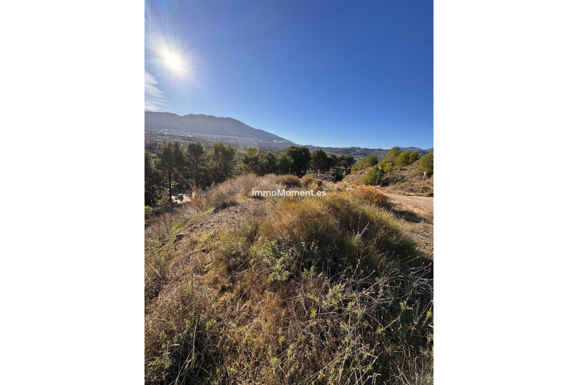 Revente - Terrain - Intérieur                       - Alhaurín el Grande Centro