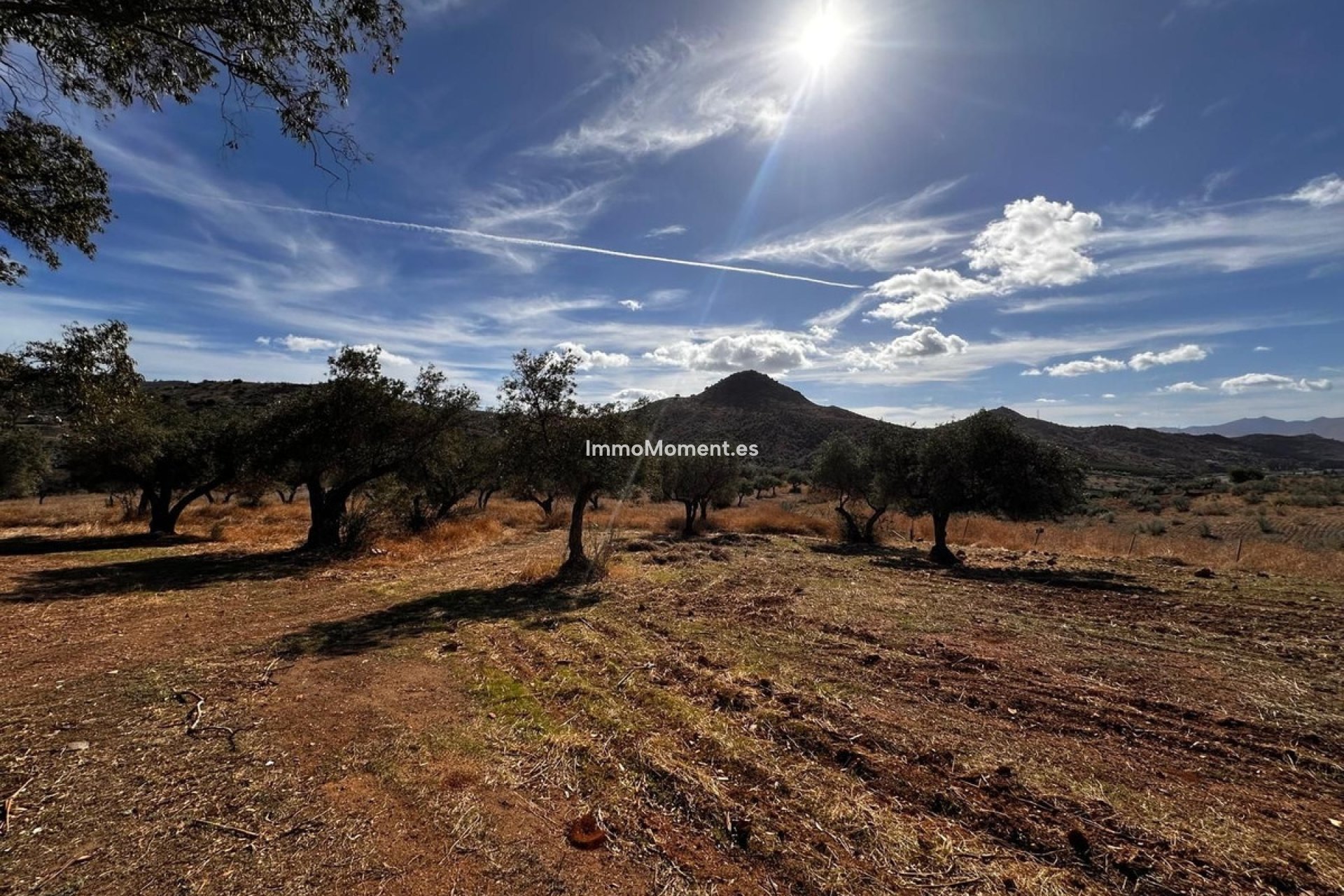 Revente - Terrain - Intérieur                       - Almogía