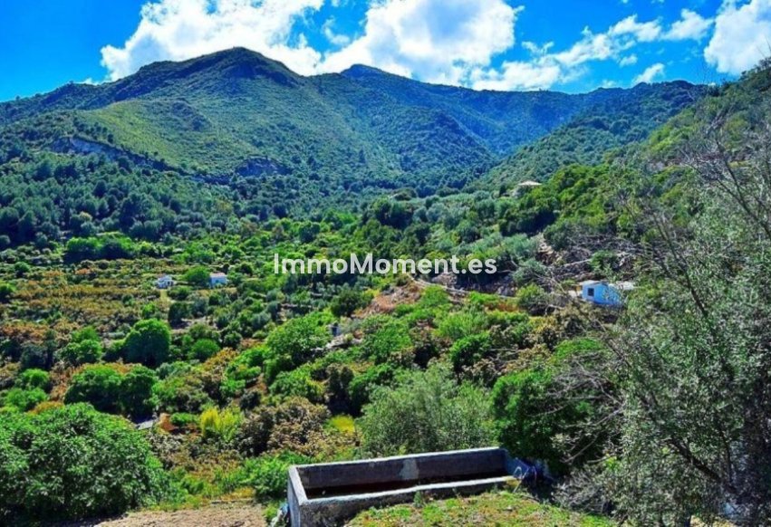 Revente - Terrain - Intérieur                       - Ojén
