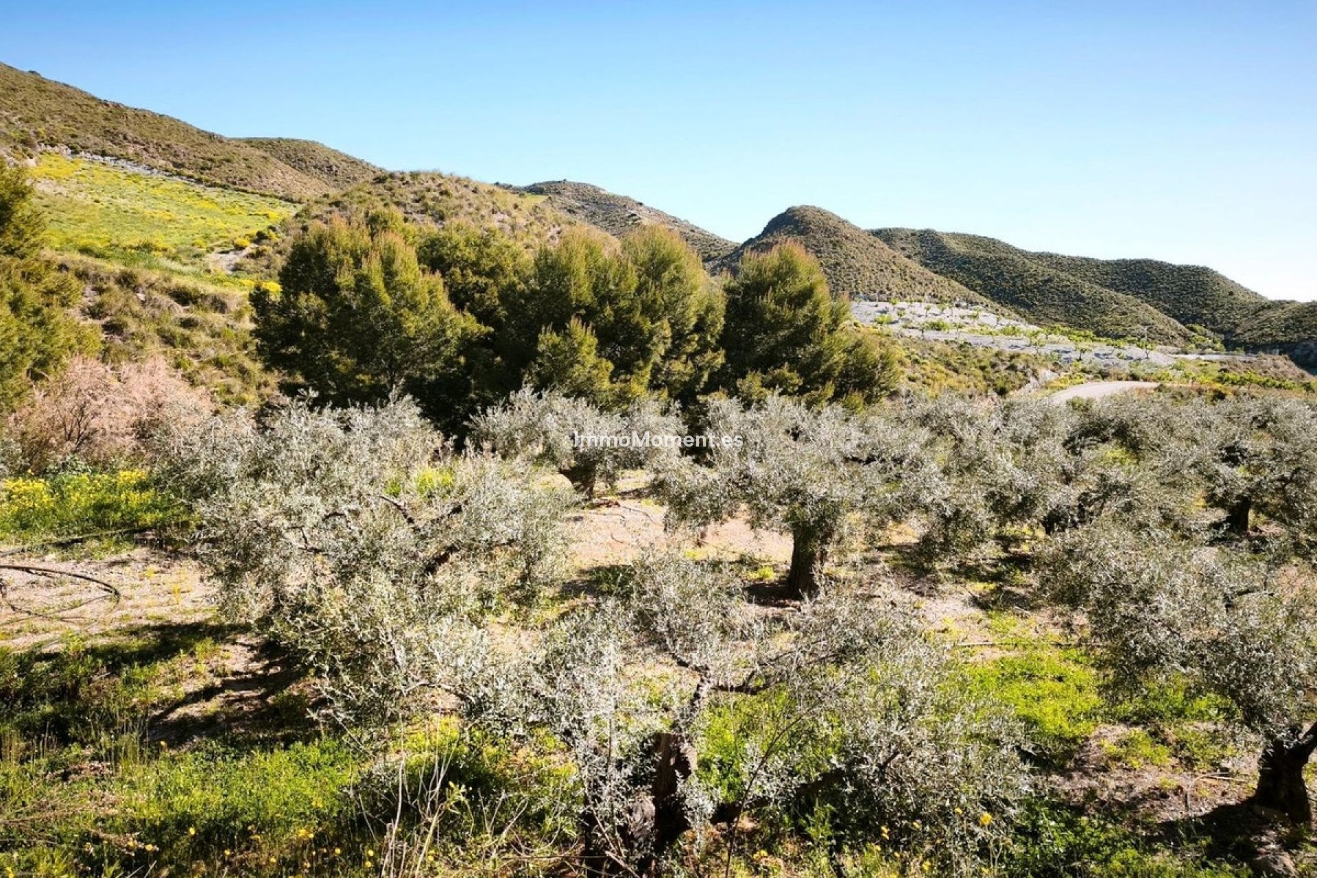 Revente - Terrain - Lorca - Lorca Centro