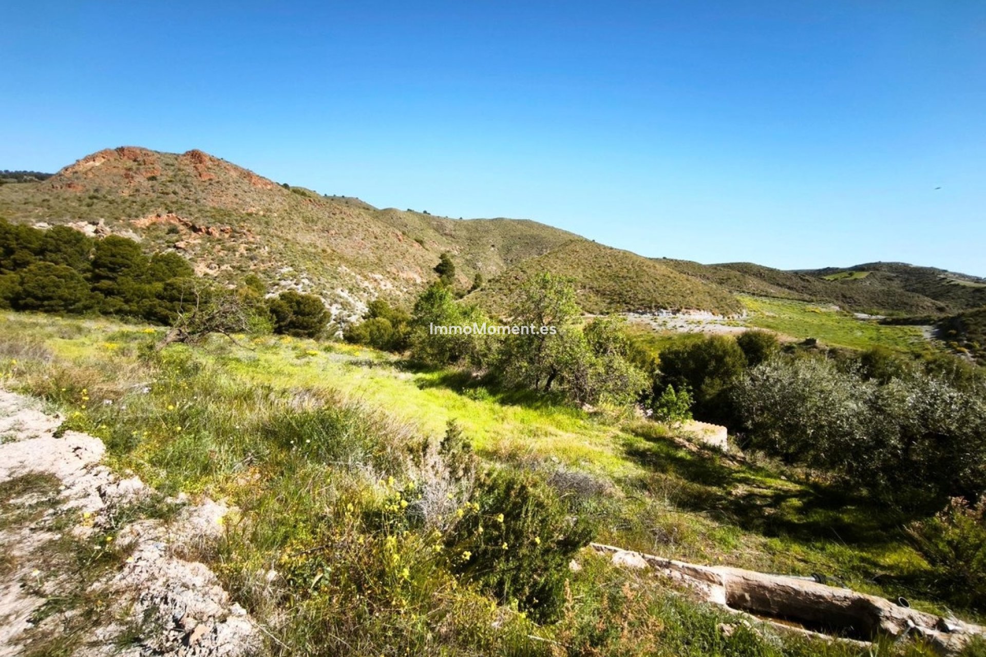 Revente - Terrain - Lorca - Lorca Centro